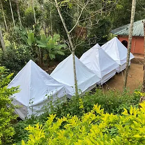 Resort Plantation Tent And Swimming Pool